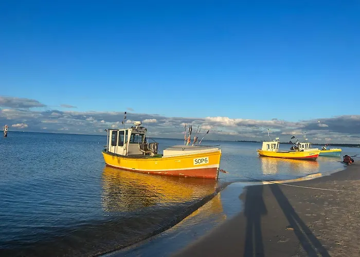 Lion - Santorini Apartmán Sopoty